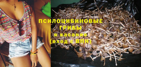 амф Нефтекумск