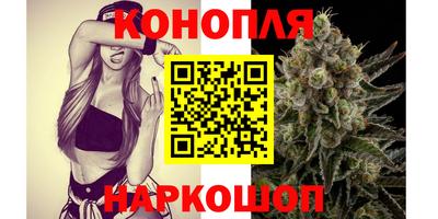 прущие крисы Гусев